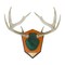 Allen Co Hunting Trophy Antler Mounting Kit, Green Skull Cover 562 - alternate 5